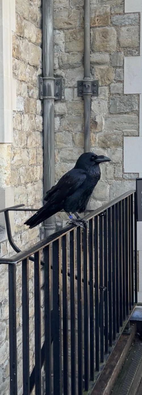 Visitor photo: Day out